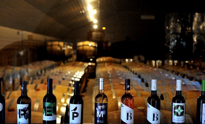 <span style='color:#780948'>ARCHIVED</span> - Open daily: La Ruta del Vino or Wine Route of Jumilla: visiting the wineries