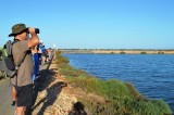 Sunday 31st March Free guided walk in the Regional Park of the Salt Flats of San Pedro del Pinatar