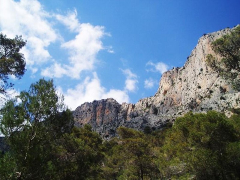 <span style='color:#780948'>ARCHIVED</span> - 22nd to 28th April What's on in the Alhama de Murcia municipality