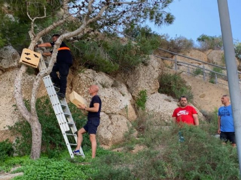 <span style='color:#780948'>ARCHIVED</span> - Águilas installs bat boxes to combat mosquitos around the castle