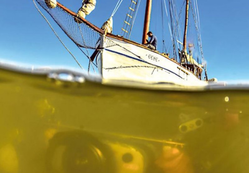 <span style='color:#780948'>ARCHIVED</span> - Scientists warn that the “green soup” is returning to the Mar Menor