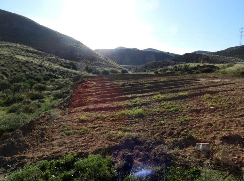 <span style='color:#780948'>ARCHIVED</span> - Illegal land clearance reported in the mountains between Lorca and Águilas