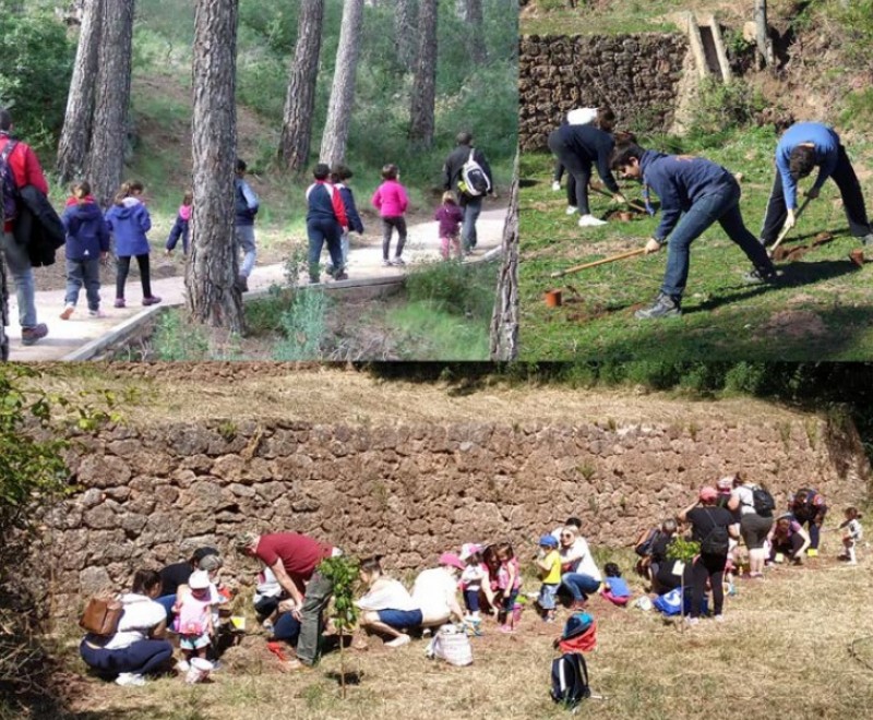 <span style='color:#780948'>ARCHIVED</span> - Sunday 22nd December Free family tree planting in the Sierra Espuña