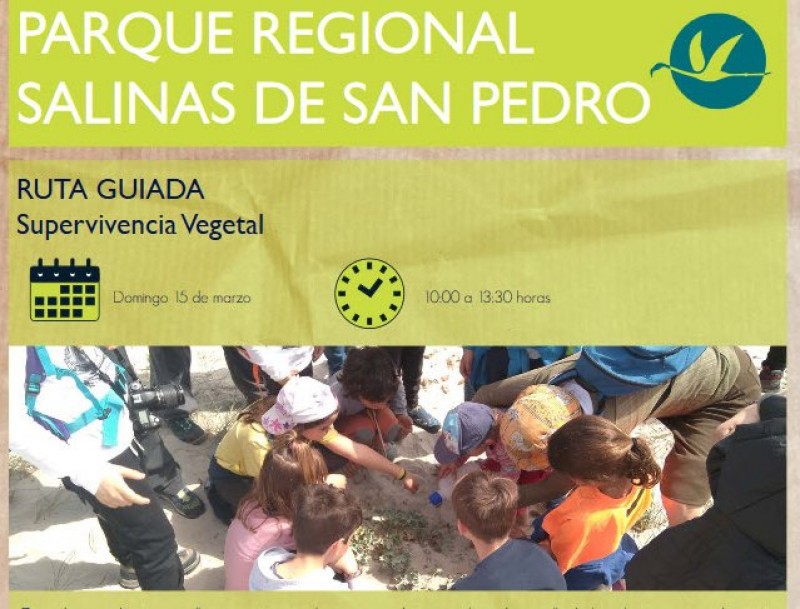 <span style='color:#780948'>ARCHIVED</span> - Sunday 15th March free family activity; survival techniques of plants, San Pedro del Pinatar