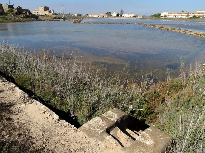 <span style='color:#780948'>ARCHIVED</span> - 8,000 euros for naturalists attempting to reactivate old salt flats alongside the Mar Menor