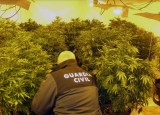 Granada lockdown breaker leads police to marijuana plantation in his home