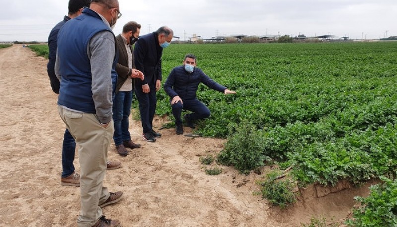 <span style='color:#780948'>ARCHIVED</span> - Biofertilizers seek to reduce nitrate run-off and maintain crop viability; Torre Pacheco trials underway