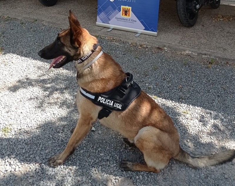 <span style='color:#780948'>ARCHIVED</span> - Altea police launch new canine unit