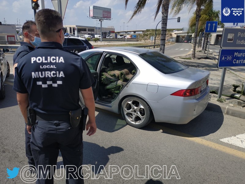 <span style='color:#780948'>ARCHIVED</span> - Murcia police catch thief stealing artificial turf from the central reservation
