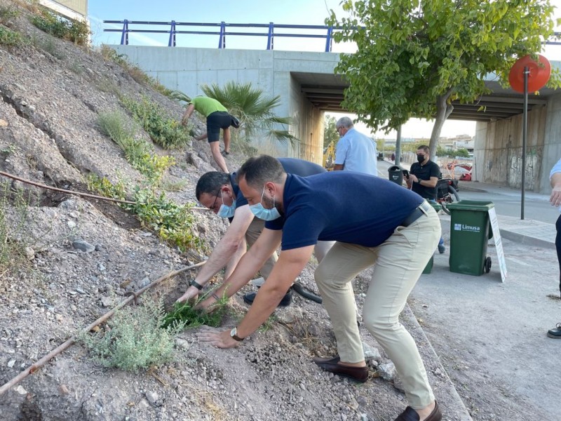 <span style='color:#780948'>ARCHIVED</span> - Glorious cycle of life in Lorca as biowaste makes growing up a greener experience