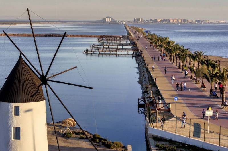 Three years and 20 million euros to save the Mar Menor