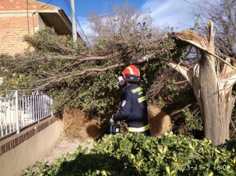 Storm Ciaran causes mass destruction across the Region of Murcia
