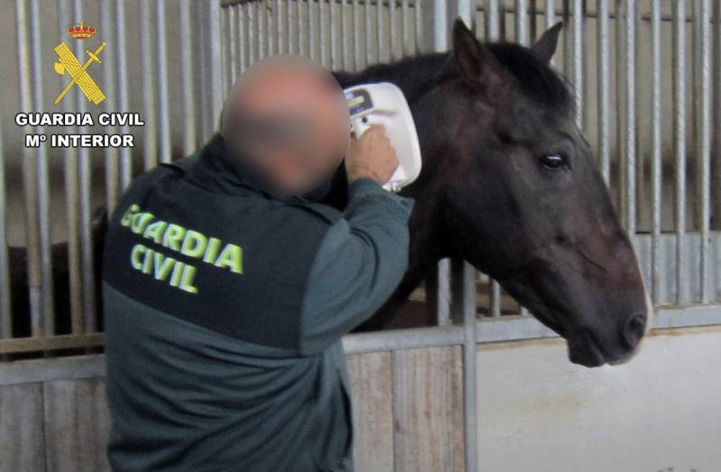 Murcia police halt crime gang smuggling Belgian horses to Libya via Cartagena