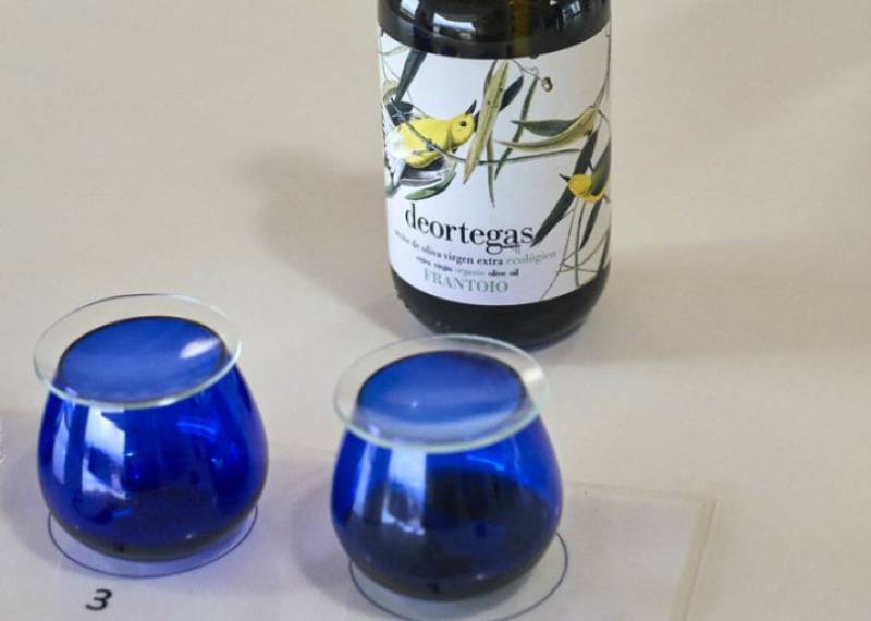 Discover the liquid gold that is the olive oil of the Region of Murcia!