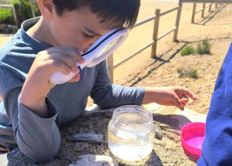 November 9 Free guided walk for all the family in the salt flats of San Pedro del Pinatar