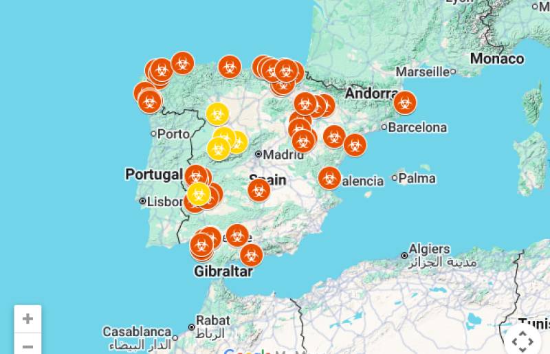 Murcia takes emergency action as Spain faces unprecedented bird flu crisis