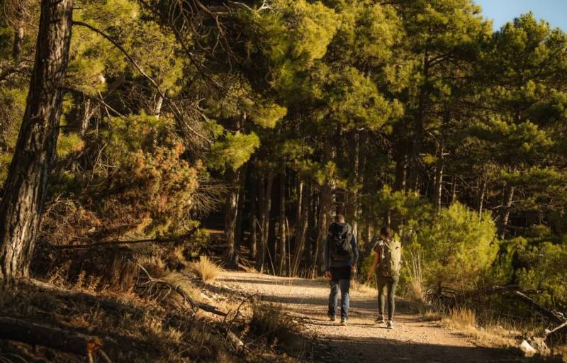 7 slow tourism experiences in the Region of Murcia