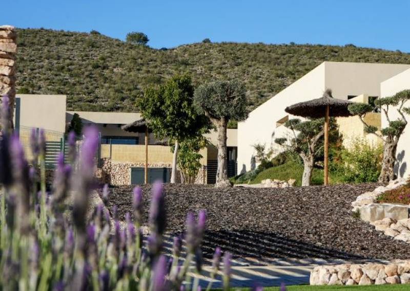 Living well in Murcia: Oasis and Las Vistas reflect Altaona's wellbeing-focused residential model 