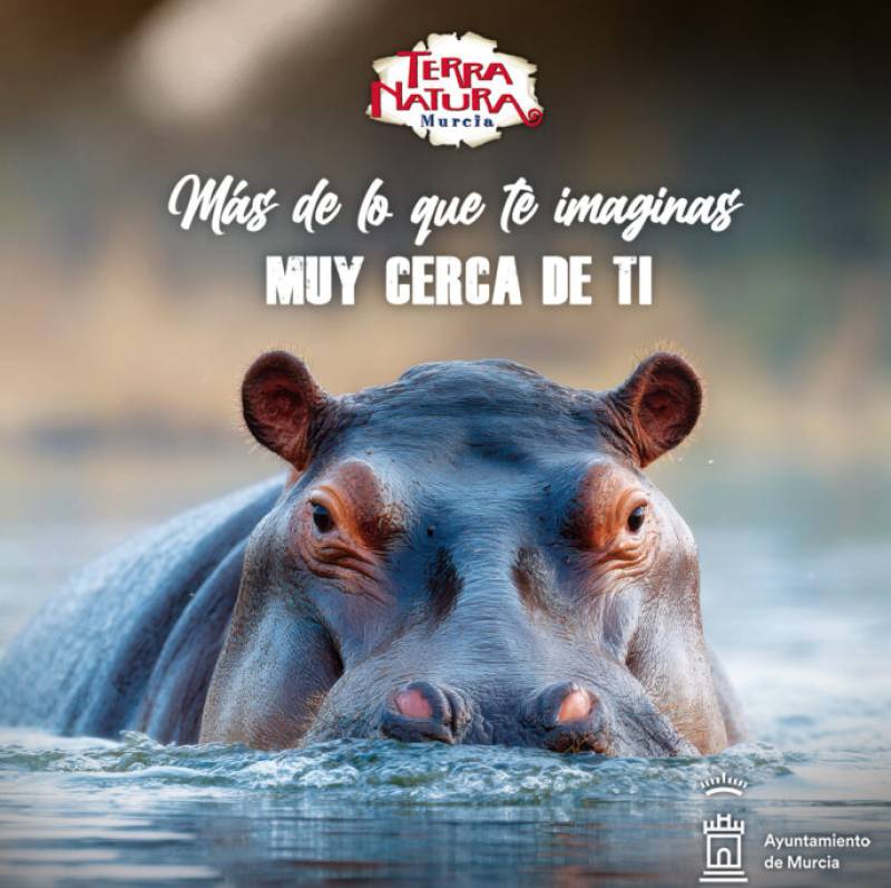 Celebrating the hippo at Terra Natura Murcia