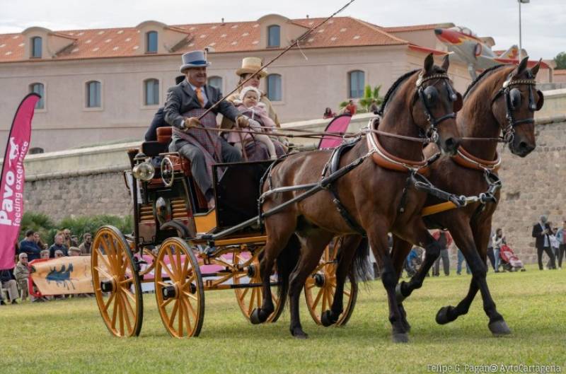 March 8 Traditional horse and carriage competition in Cartagena