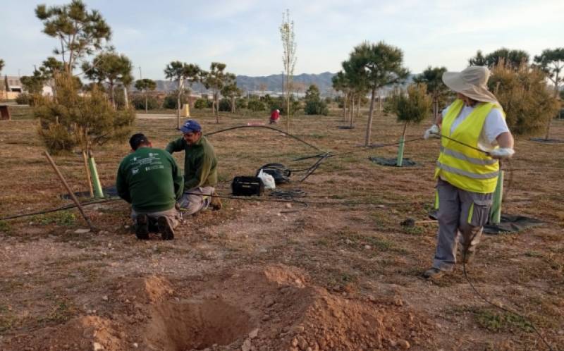 Águilas plants trees across town to improve public spaces and create jobs