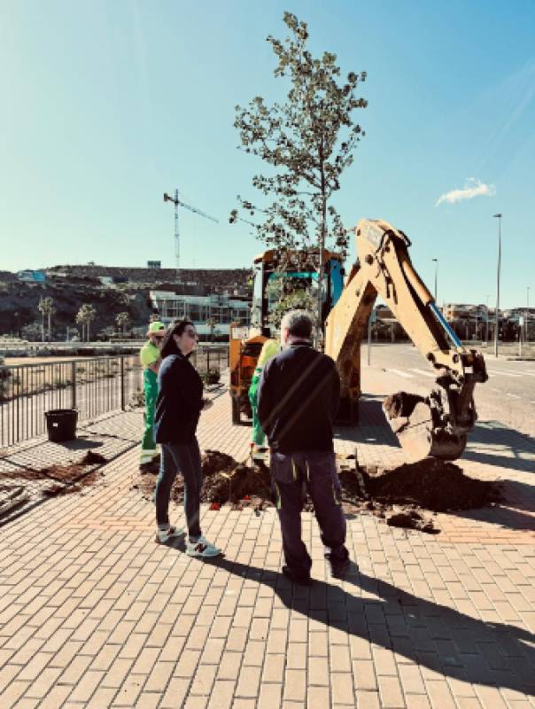 Águilas plants trees across town to improve public spaces and create jobs