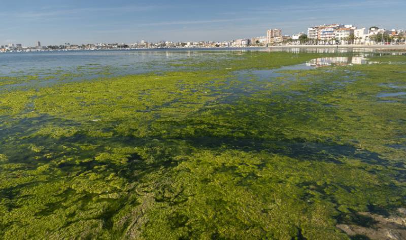 Murcia's new nitrate plan faces criticism from environmental groups