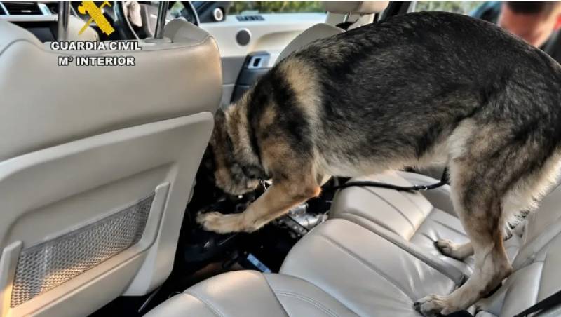 British man arrested in Ibiza after stolen UK car found with hidden drugs compartment