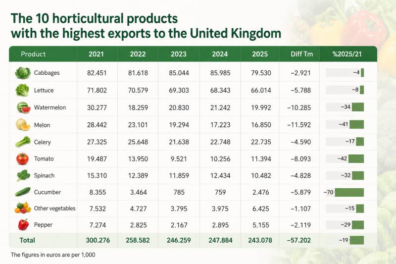 Brexit has cost Murcia a quarter of its fruit and vegetable exports to the UK, and competitors are filling the gap