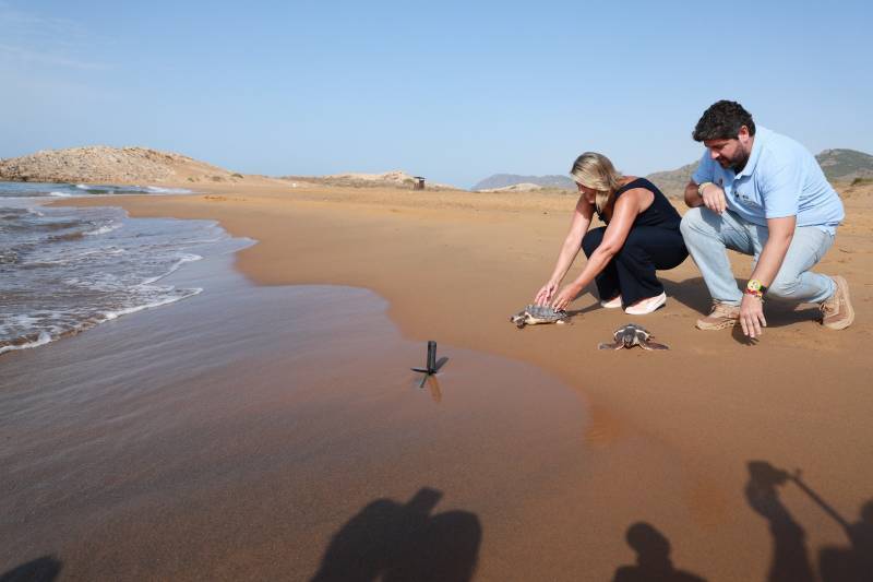 Two loggerhead turtles re-released into the Mediterranean at Lorca beach