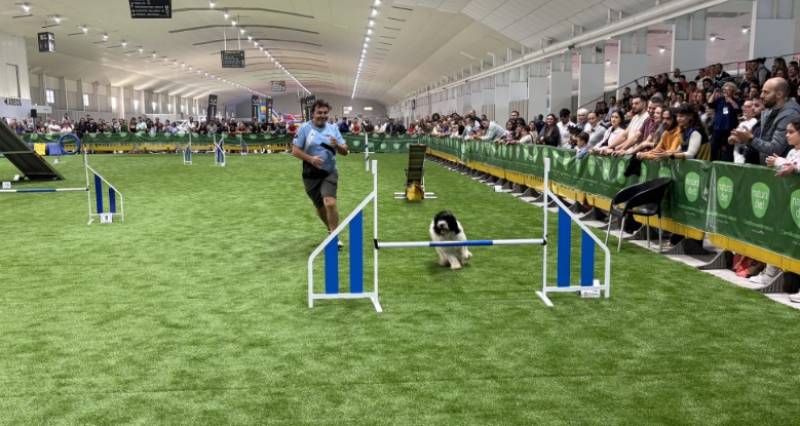 November 7 and 8 The most popular dog show in Spain at the IFEPA centre in Torre Pacheco